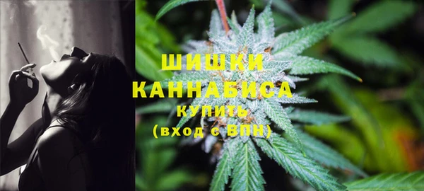 spice Горнозаводск