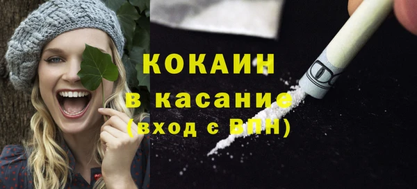 гидра Горняк