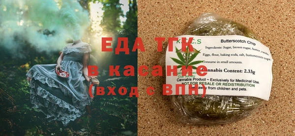 гидра Горняк