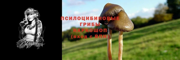 spice Горнозаводск