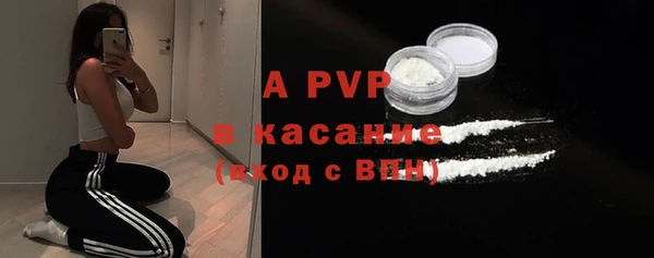 гидра Горняк