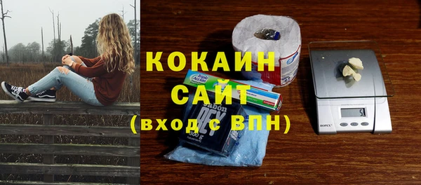 ГАЛЛЮЦИНОГЕННЫЕ ГРИБЫ Гусиноозёрск