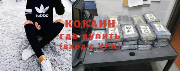 ГАЛЛЮЦИНОГЕННЫЕ ГРИБЫ Гусиноозёрск