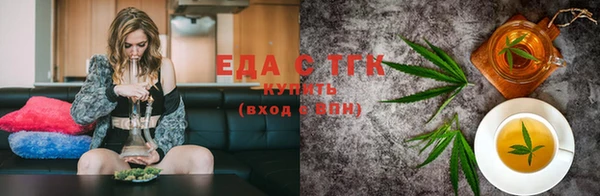 гидра Горняк