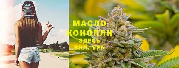 гидра Горняк